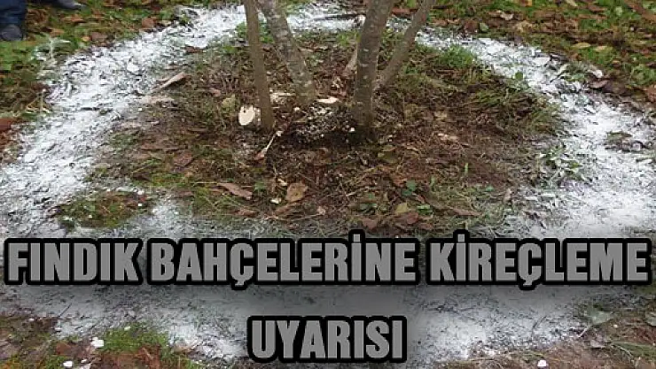 FINDIK BAHÇELERİNE KİREÇLEME UYARISI