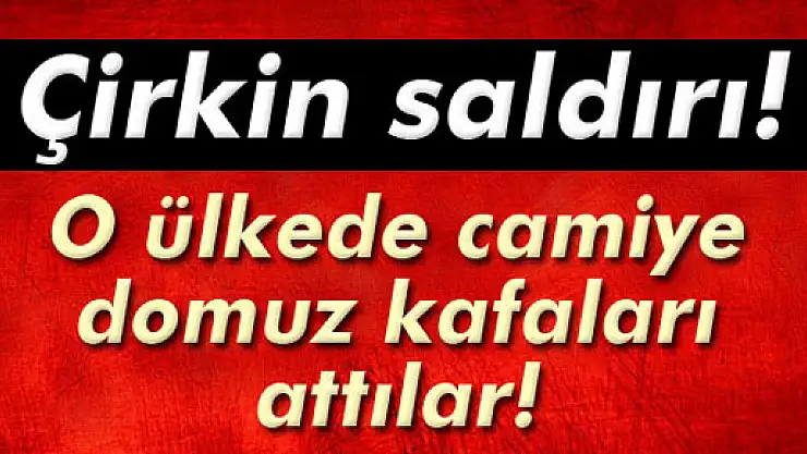 İsveç'te camiye çirkin saldırı