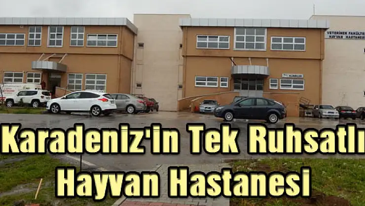 Karadeniz'in Tek Ruhsatlı Hayvan Hastanesi