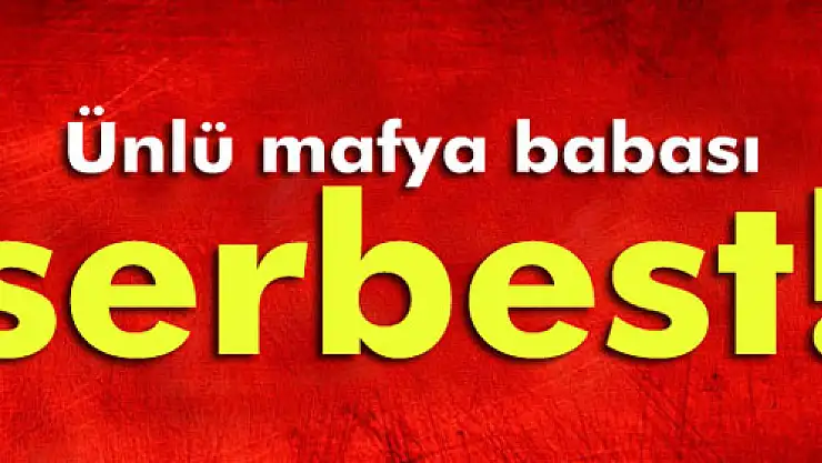 Ünlü mafya babası Sedat Şahin serbest!