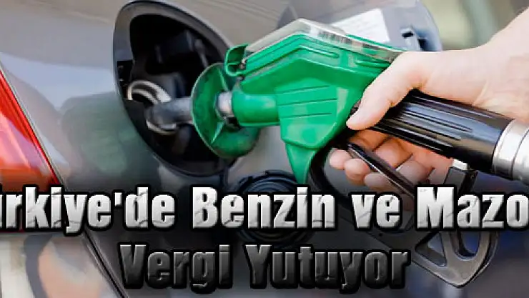 Türkiye'de Benzin ve Mazotu Vergi Yutuyor