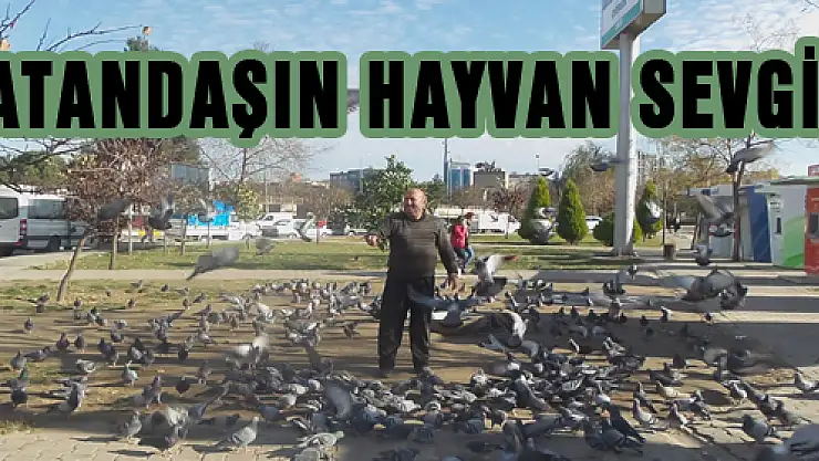 VATANDAŞIN HAYVAN SEVGİSİ