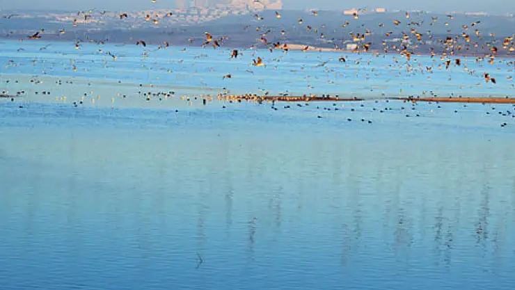 Kurak kış barajların doluluk oranını düşürdü