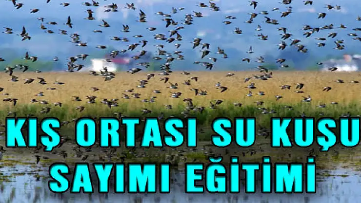 KIŞ ORTASI SU KUŞU SAYIMI EĞİTİMİ