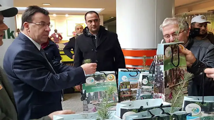 Yeni yıla ağaç keserek değil fidan dikerek girecekler