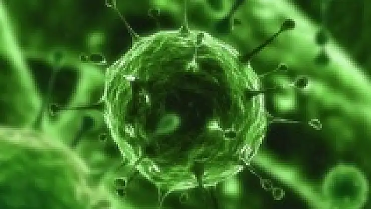 200 virüs peşimizde