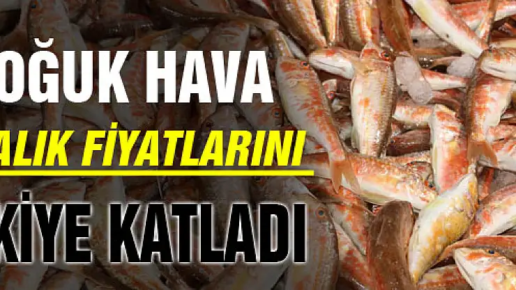 SOĞUK HAVA BALIK FİYATLARINI İKİYE KATLADI
