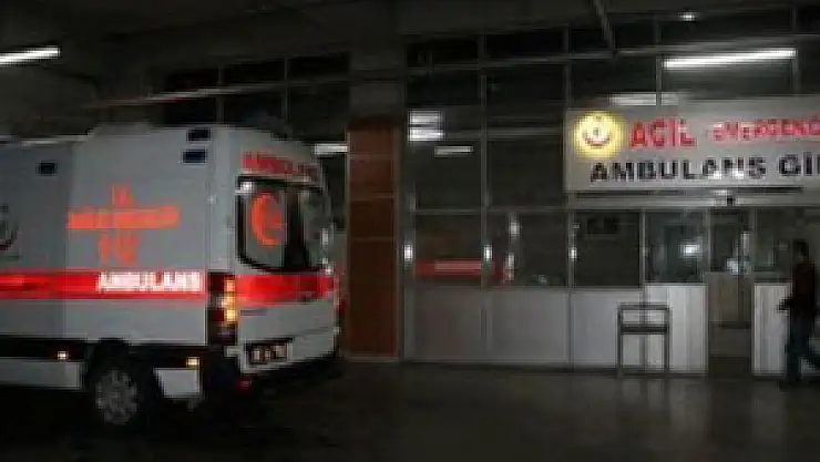 Niğde'de 'domuz gribi' şüphesi: 2 ölü