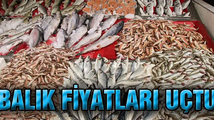 BALIK FİYATLARI UÇTU