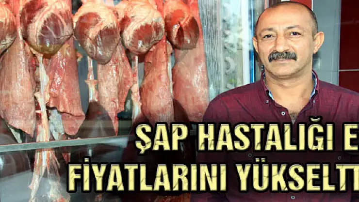 ŞAP HASTALIĞI ET FİYATLARINI YÜKSELTTİ
