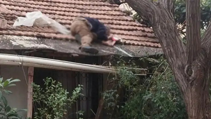 Evinin çatısında kalp krizi geçirerek öldü