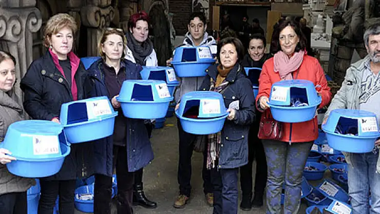 Çamaşır leğenleri kedilere yuva oldu