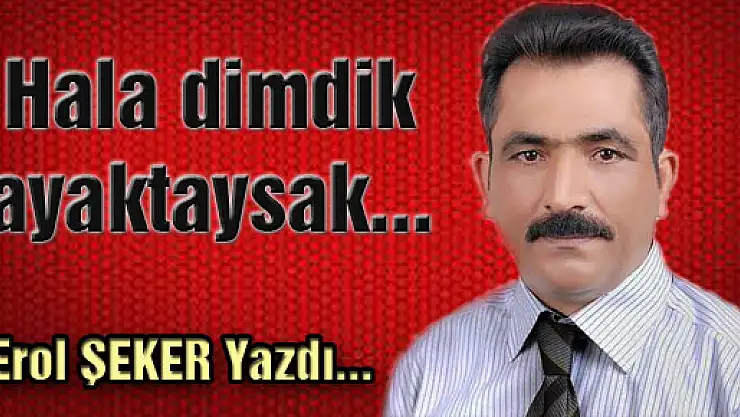 Hala dimdik ayaktaysak...