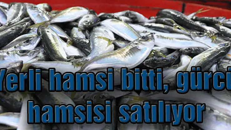 Yerli hamsi bitti, gürcü hamsisi satılıyor