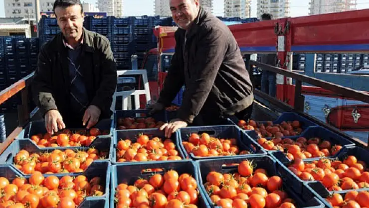 Domates dalından vatandaşa dört kat pahalıya ulaşıyor