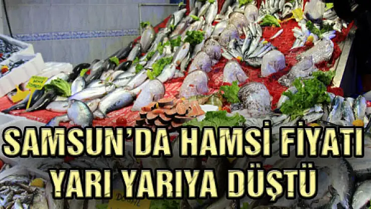 SAMSUN'DA HAMSİ FİYATI YARI YARIYA DÜŞTÜ