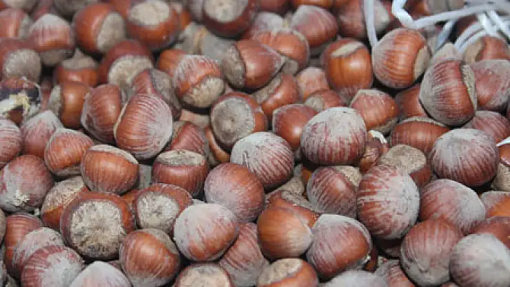 ÜRETİCİ FİYATLARDAN DERTLİ