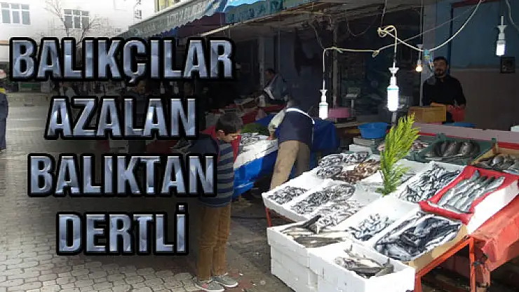 BALIKÇILAR AZALAN BALIK'TAN DERTLİ...