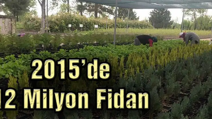 2015'de 12 Milyon Fidan