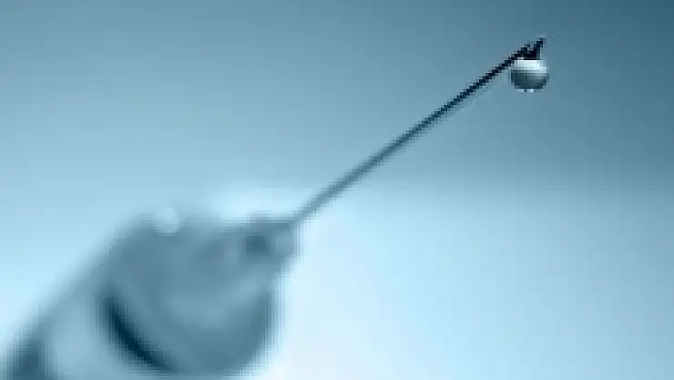 Yaşlı kadın domuz gribinden öldü