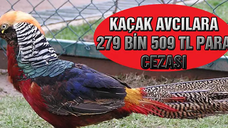 Kaçak Avcılara 279 Bin 509 TL Para Cezası