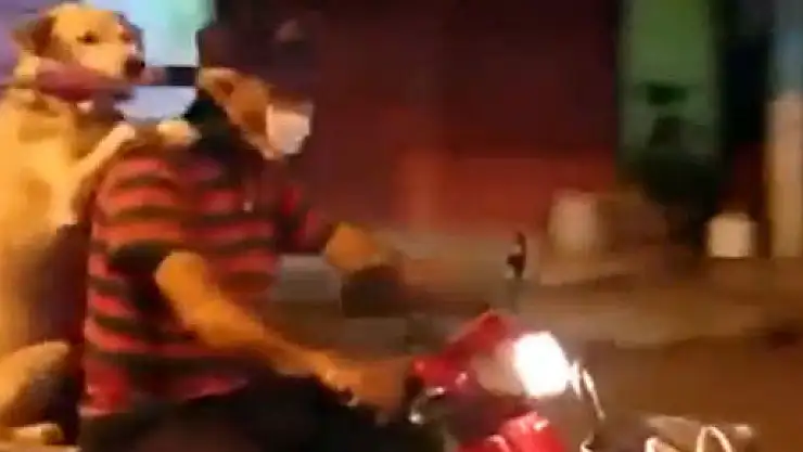 Gülümseten iş bölümü