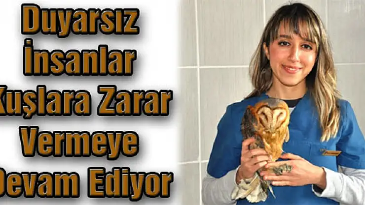 Duyarsız İnsanlar Kuşlara Zarar Vermeye Devam Ediyor