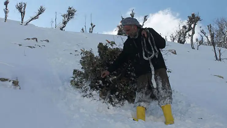 Sınırın sıfır noktasında yaşam mücadelesi