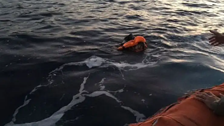 Denizden 13 ayda 336 ceset çıktı