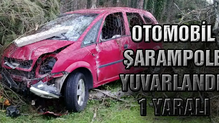 Otomobil Şarampole Yuvarlandı: 1 Yaralı