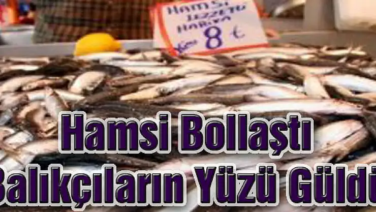 Hamsi Bollaştı Balıkçıların Yüzü Güldü