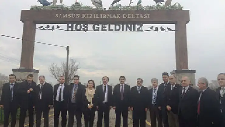 Doğaya Sülün Saldılar