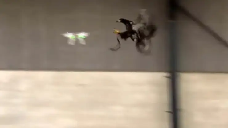 Drone sorununa 'kartal' çözümü