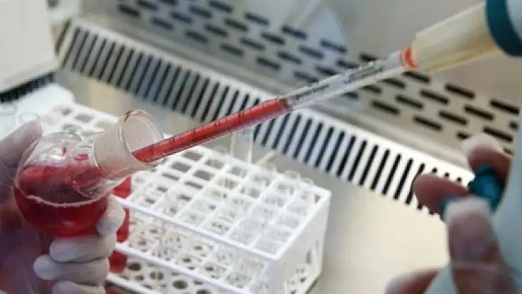 ÇÜ'de bilim insanları yapay kan üretti