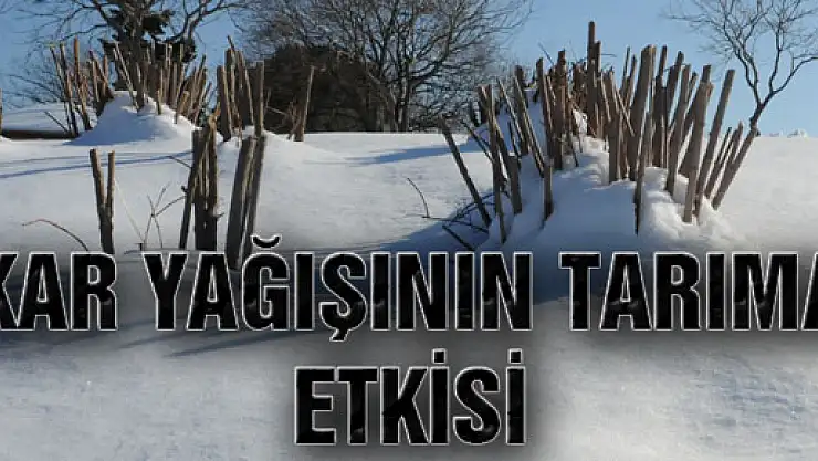 Kar Yağışının Tarıma Etkisi