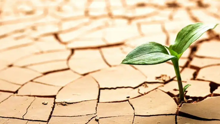 Zimbabve'de kuraklık olağanüstü hal ilan ettirdi