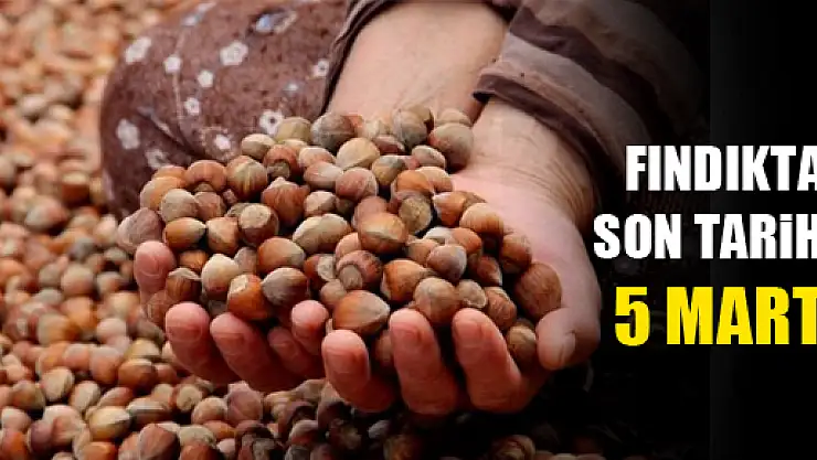 Fındık Sigortası'nda Son Tarih 5 Mart
