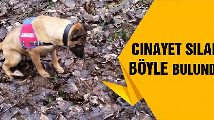 O şüphelide tutuklandı