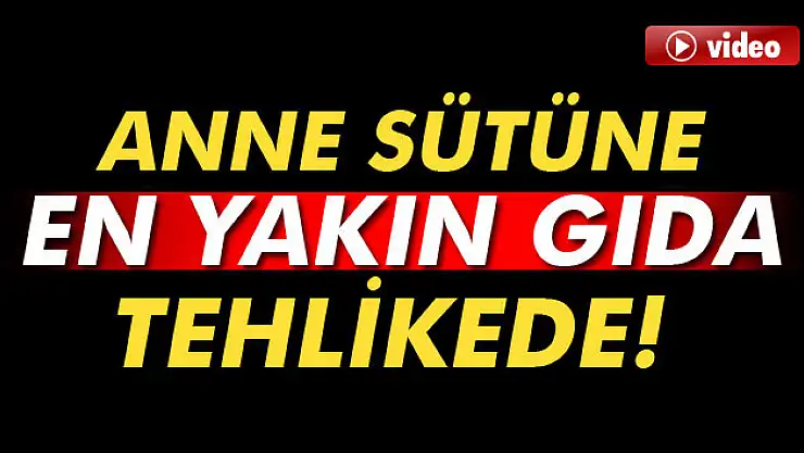 Anne sütüne en yakın gıda tehlikede
