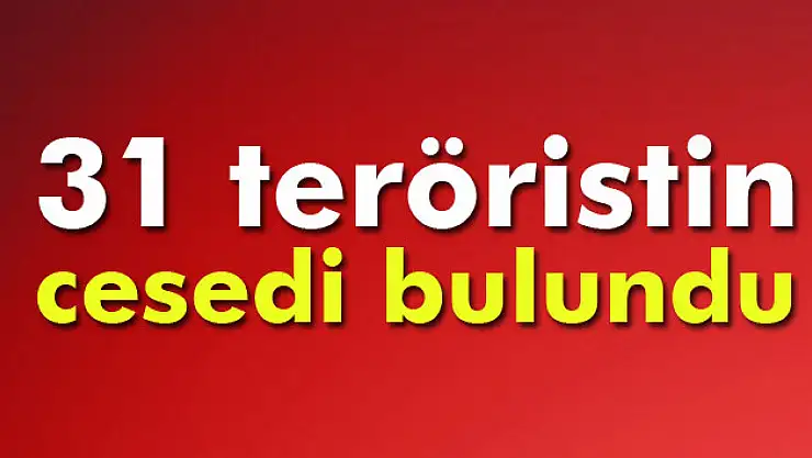 31 teröristin cesedi bulundu