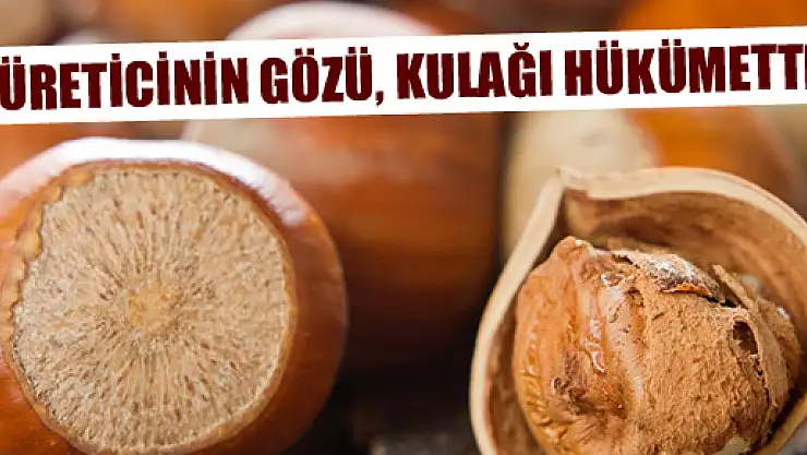 ÜRETİCİNİN GÖZÜ, KULAĞI HÜKUMETTE