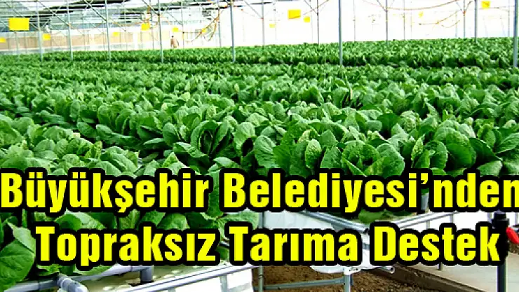 Büyükşehir Belediyesi'nden Topraksız Tarıma Destek