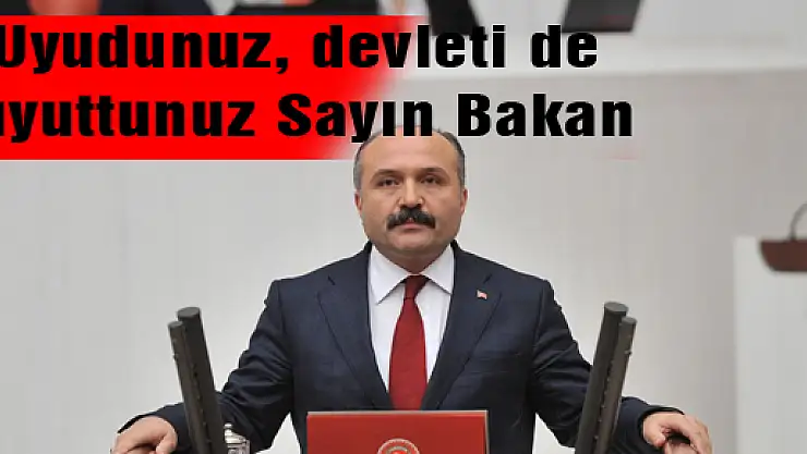 Uyudunuz, devleti de uyuttunuz Sayın Bakan