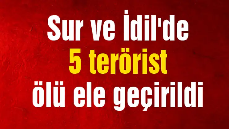 Sur ve İdil'de 5 terörist ölü ele geçirildi