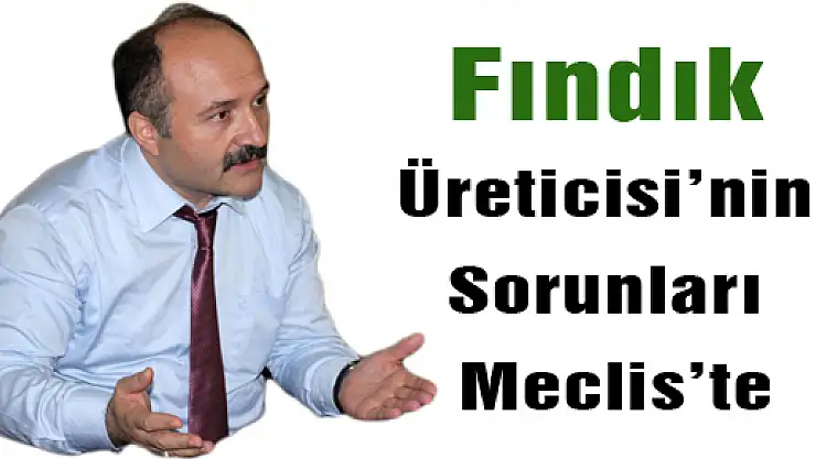 Fındık Üreticisi'nin Sorunları Meclis'te