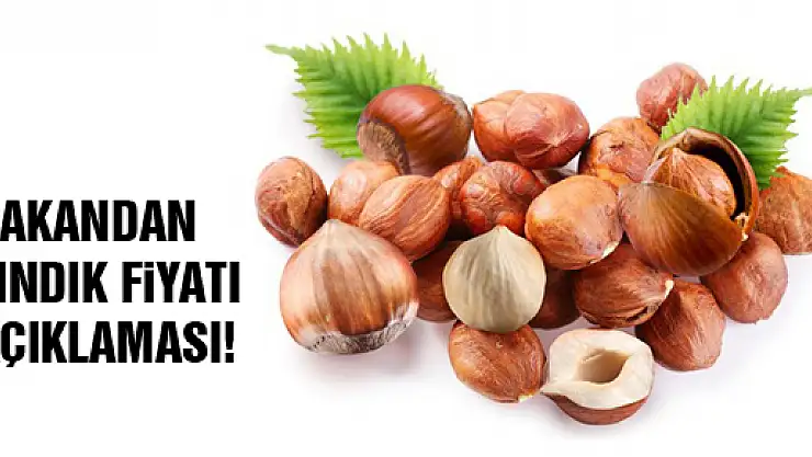 BAKANDAN FINDIK FİYATI AÇIKLAMASI!