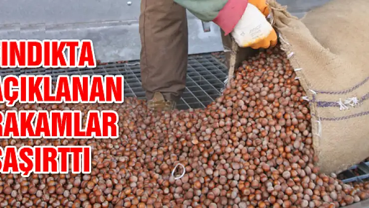 FINDIKTA AÇIKLANAN RAKAMLAR ŞAŞIRTTI