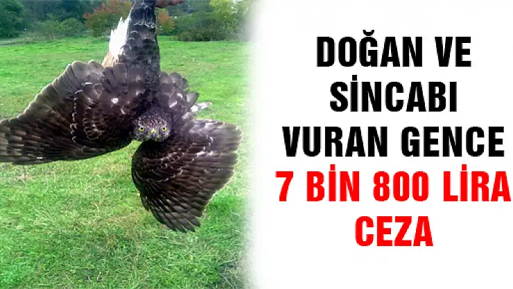 DOĞAN VE SİNCABI VURAN GENCE 7 BİN 800 LİRA CEZA