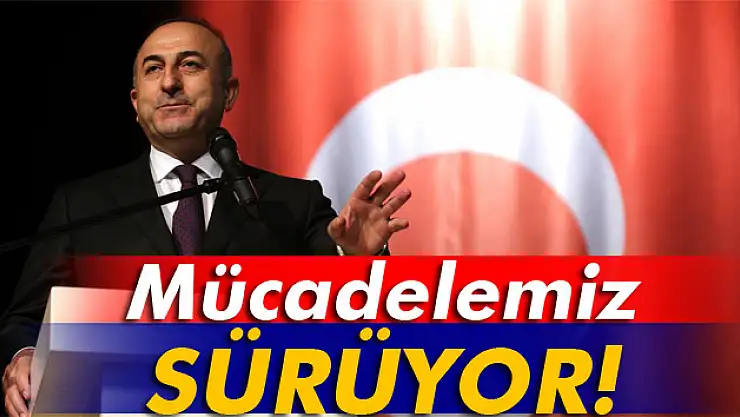 Çavuşoğlu: 'Mücadelemiz sürüyor'