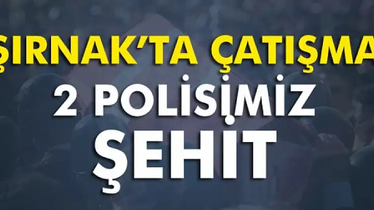 İdil'de çatışma: 2 şehit, 3 yaralı
